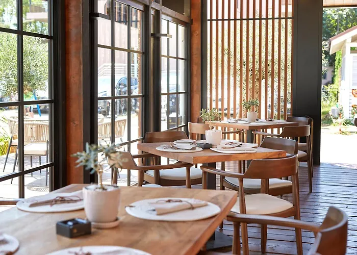 Nobel Ultra - Free Access 阳光海滩